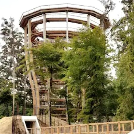 ראת'דרום Meadowbrook Studio מראה חיצוני תמונה